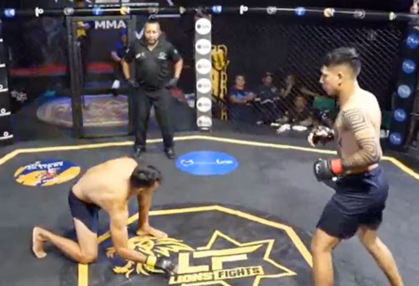 Video: Quickest fight ever? Immediate quit leaves everyone puzzled