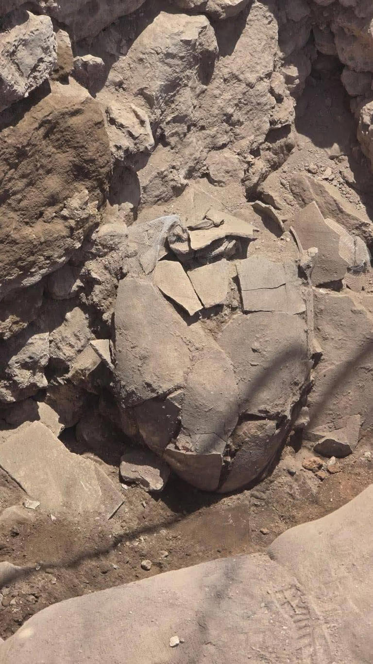 Holy Grail find? Archaeologists claim they may have uncovered ruins ...
