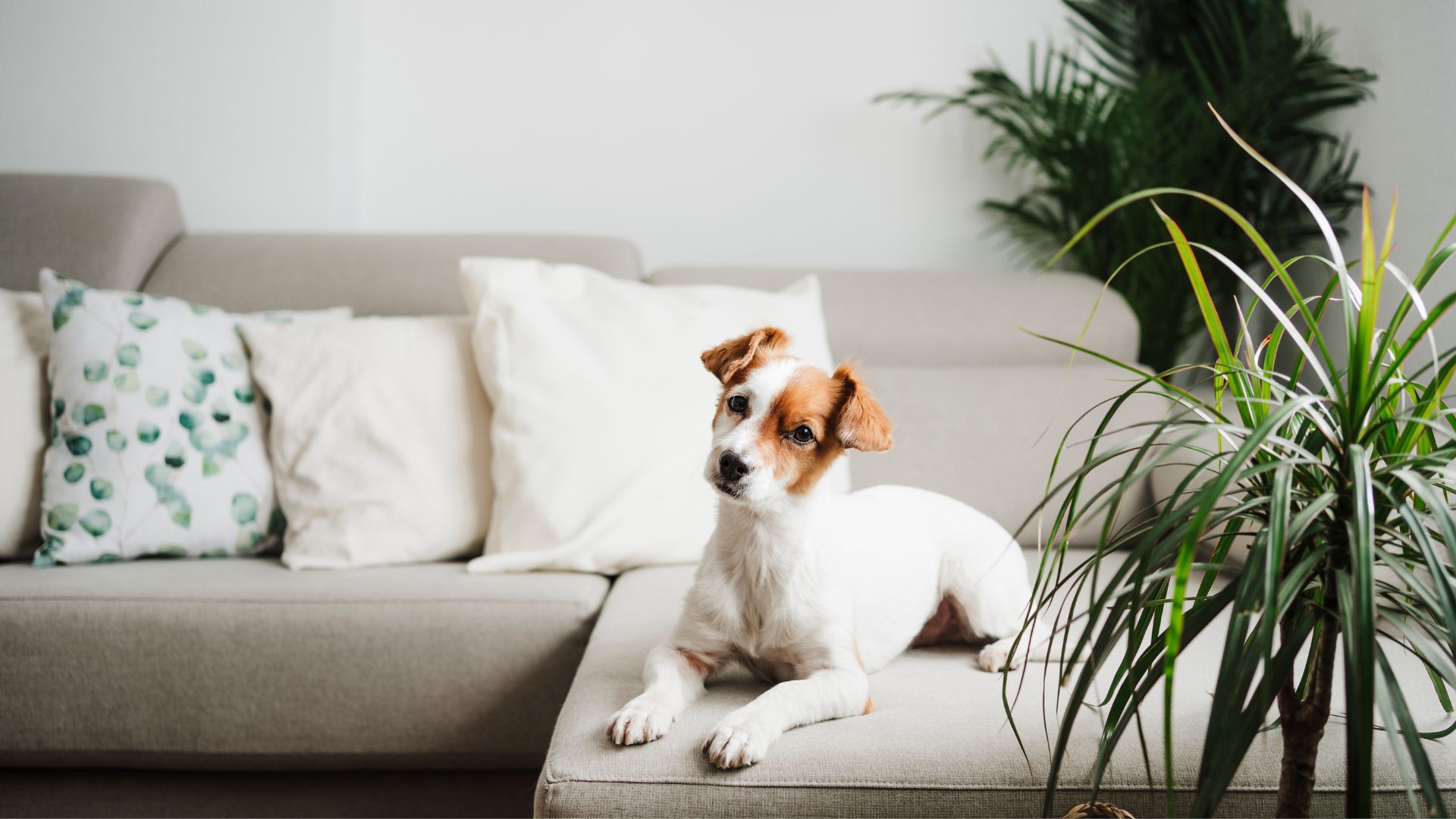 Why 1 in 3 Aussies are upgrading home tech this winter