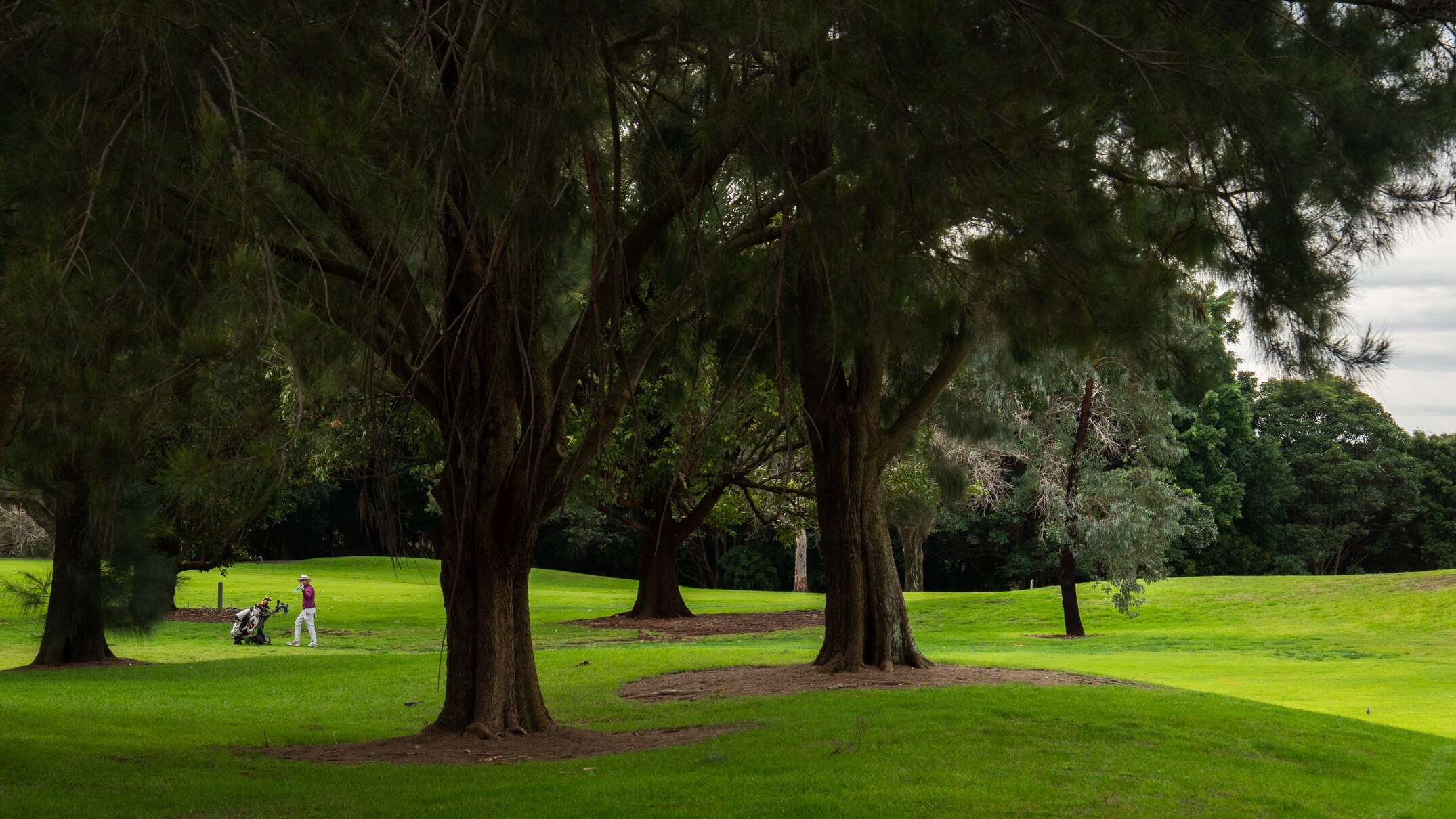Moore Park Golf Course carve up makes way for new green space in inner ...