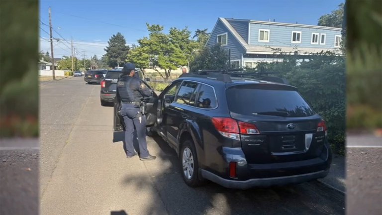 Portland police arrest 9 suspects in stolen vehicle operation