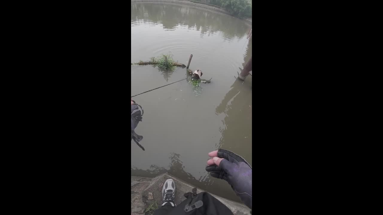 Angler uses basket to rescue stranded kitten from river