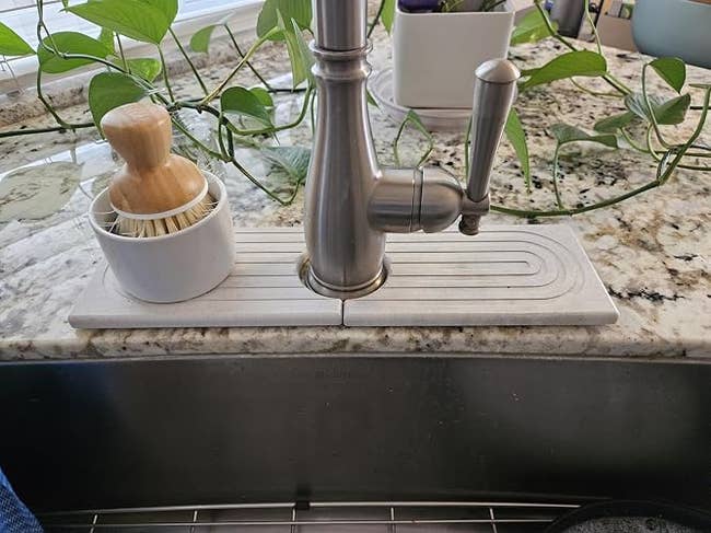 Modern kitchen sink with a brushed nickel faucet and countertop dish brush. Green plants are in the background