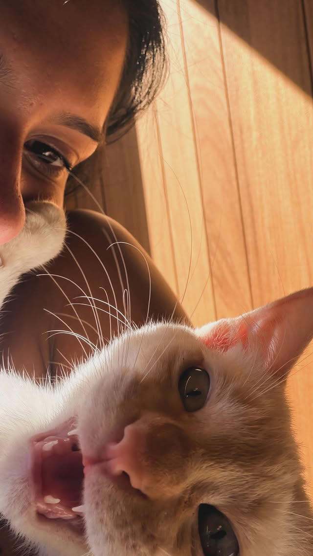 Photo by BOIADEIRA ® on June 30, 2026. May be an image of kitten and text.