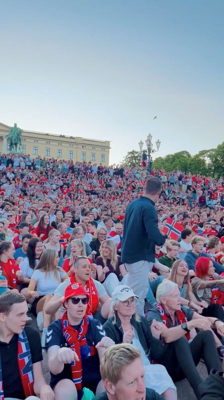 soccer-mass-viking-row-uprooted-plants-and-dented-trains-as-norway