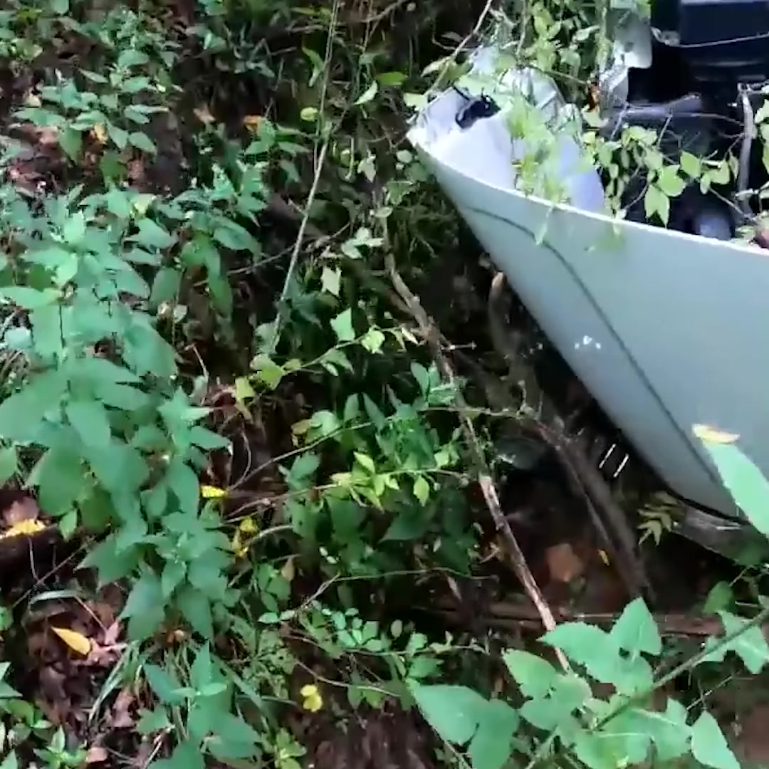 Loaded semi through guard rail, rolls into woods