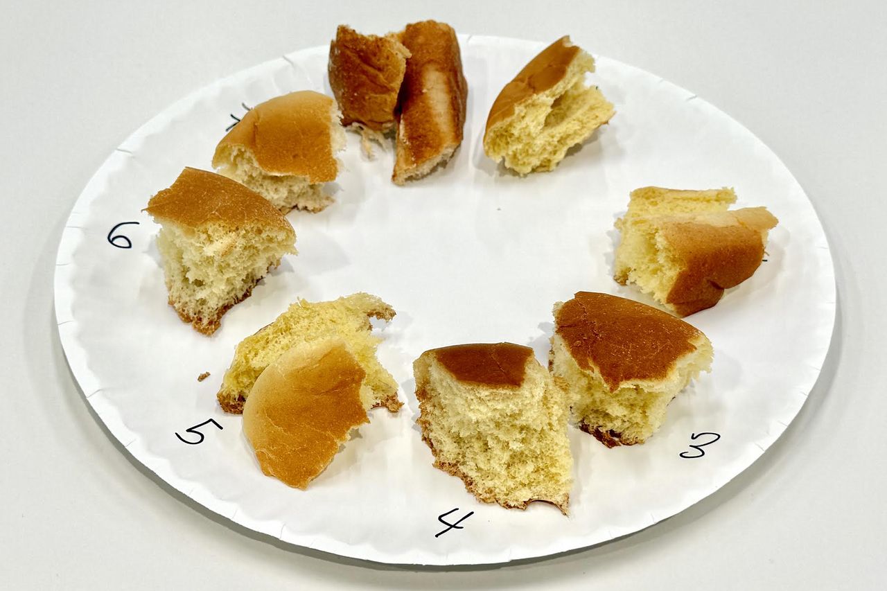 Paper plate with numbered samples of burger bun pieces arranged in a circle