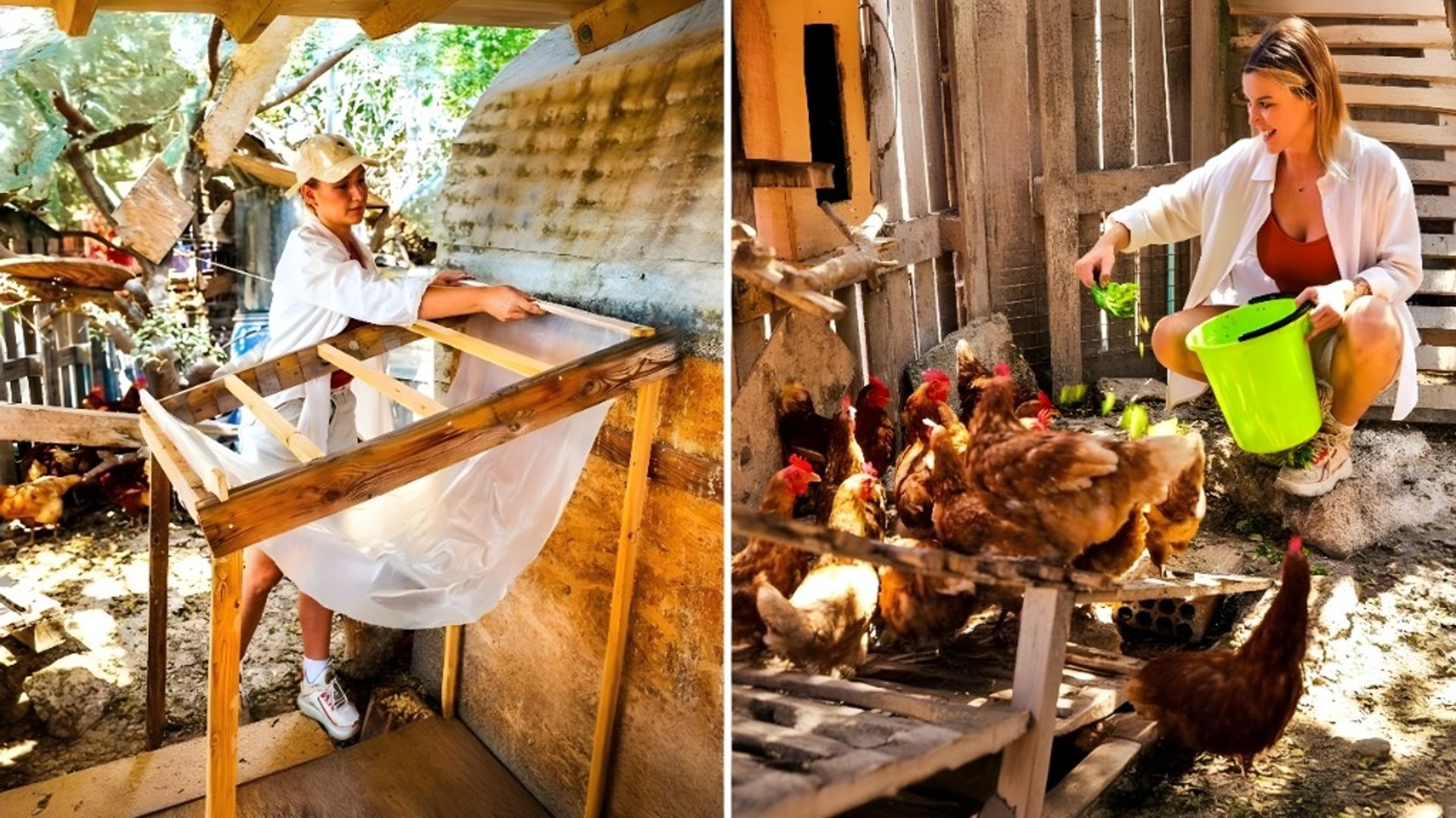 Creative mini farm inspirations: Chicken coops, feeders, and more