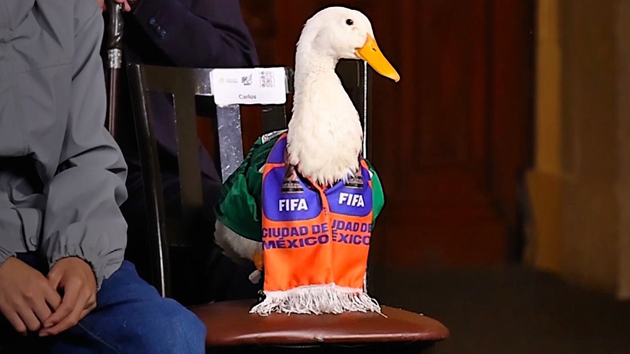 Meet Merlin, the pet duck who became Mexico City's unlikely World Cup ...