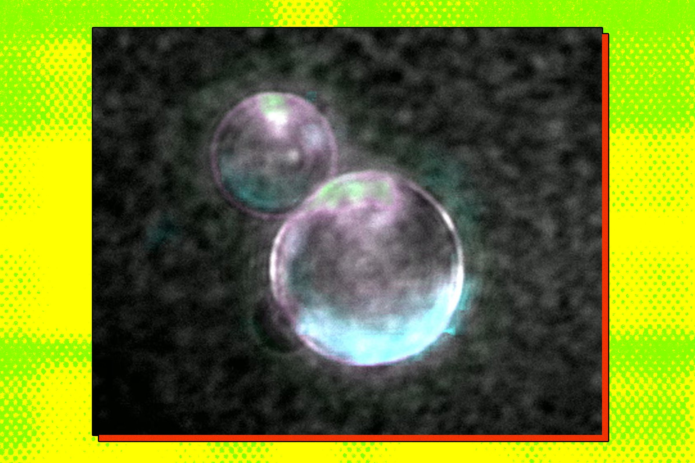 Scientists build fully synthetic life form that can eat and reproduce