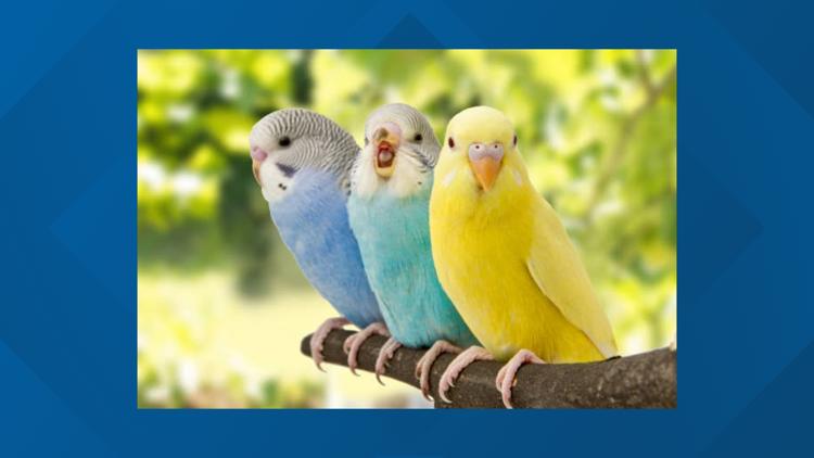 https://img-s-msn-com.akamaized.net/tenant/amp/entityid/AA26Z745.img?w=750&h=422&m=4&q=74