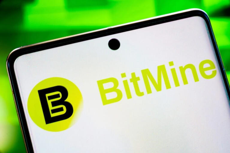 Why is Bitmine Immersion Technologies stock surging on Wednesday?