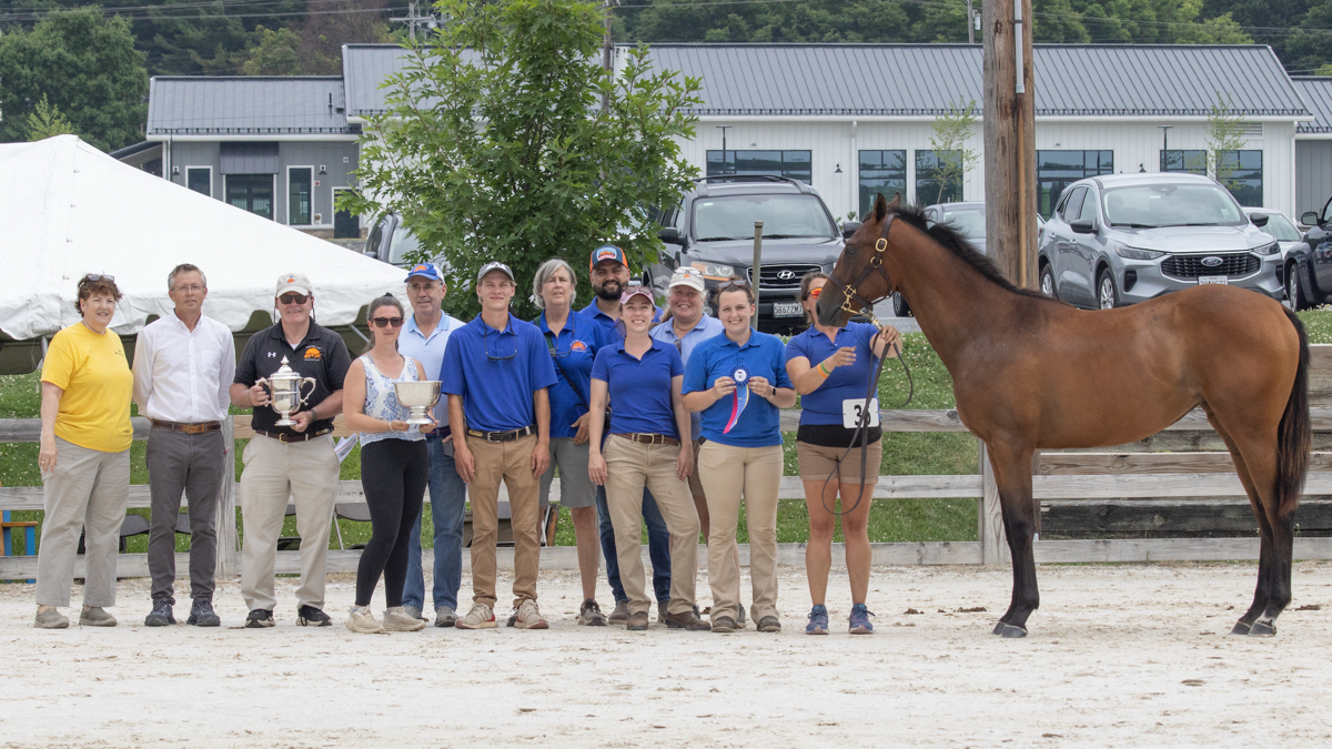 Country Life Farm's Mandaloun Filly Pinned 2026 Maryland Yearling Show ...