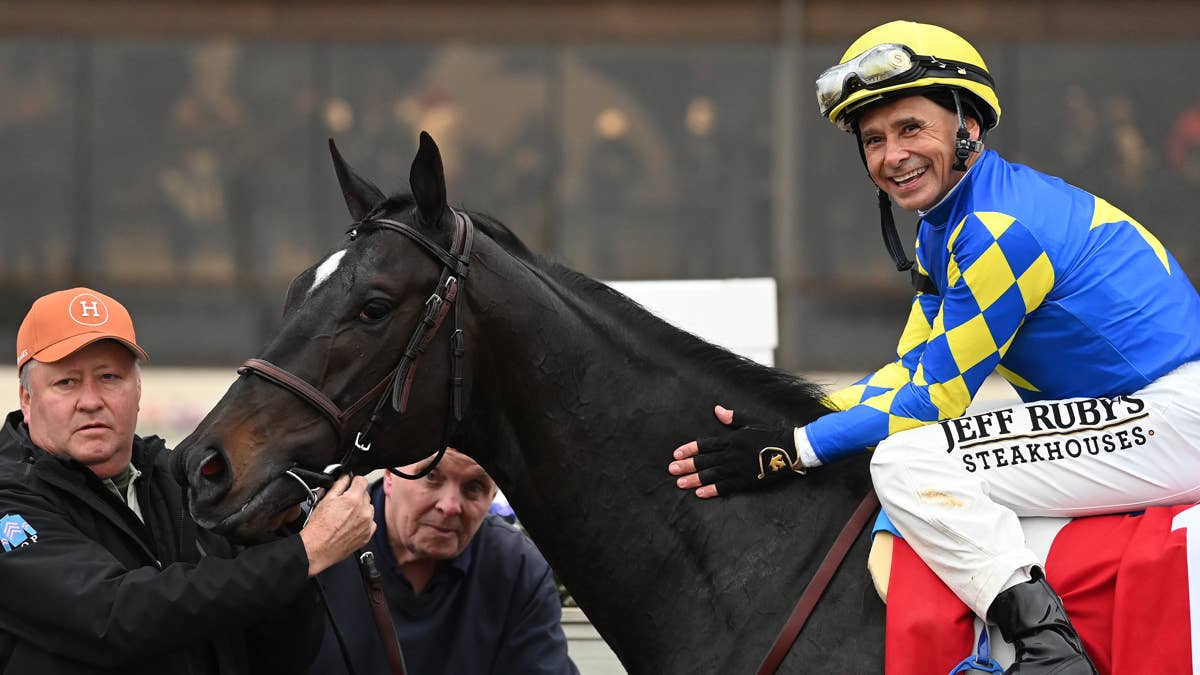 Wood Memorial winner Rodriguez headed for Southwest stud career after Fasig-Tipton sale