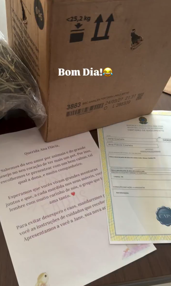 Ana Castela ganha coelha de fãs e presente divide opiniões nas redes