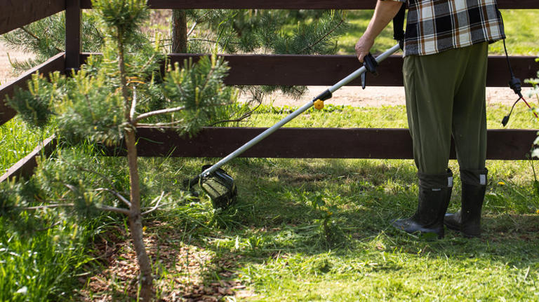 Ryobi Gas Weed Eater