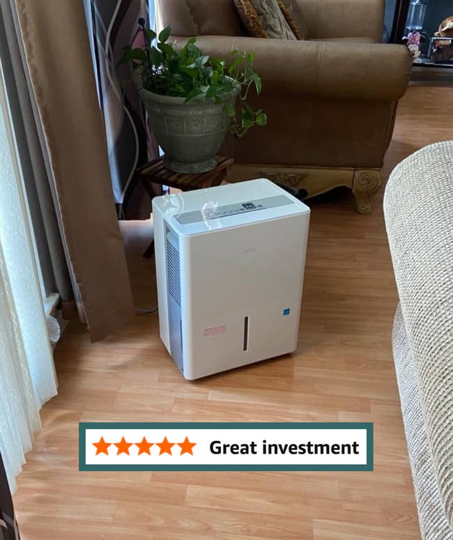 A white dehumidifier sits on a wooden floor beside a beige sofa in a living room setting with indoor plants