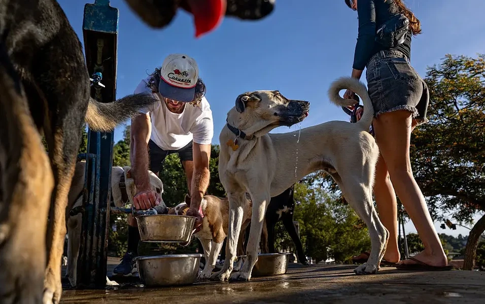 why-adopting-a-pet-changes-more-than-one-life