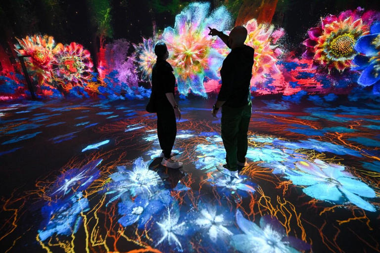 Dataland, el museo de IA en Los Ángeles que emula a la Amazonía con ...