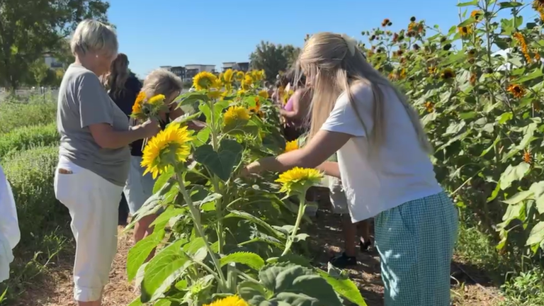 Gilbert farm launches first community classes for agricultural classes