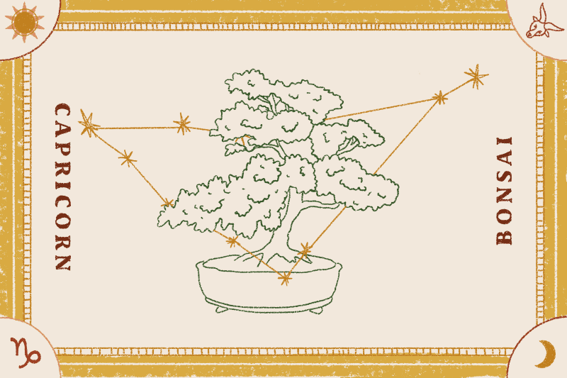 Bonsai tree illustration with Capricorn constellation, framed by decorative borders.