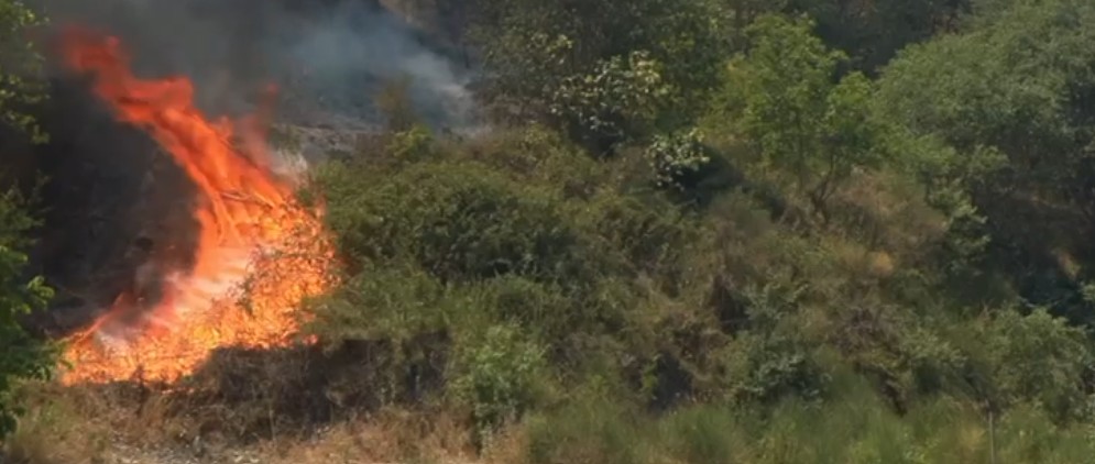 Appicò un rogo a Taormina per “vendere” pascoli: condannato in appello