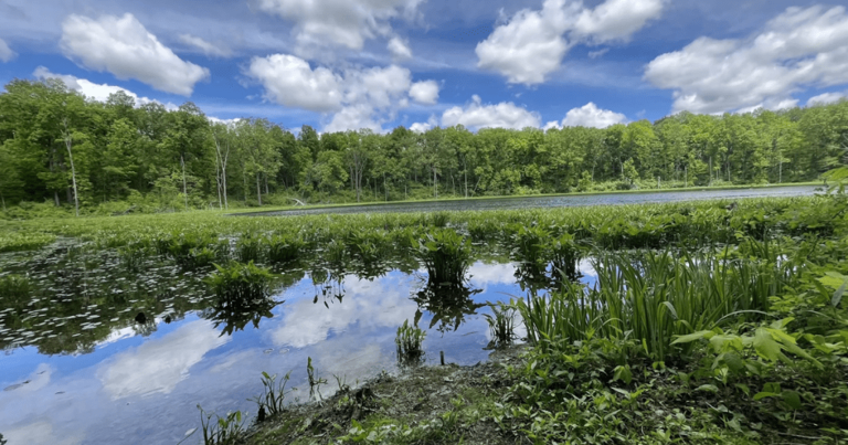 These 5 Indiana towns are perfect for nature lovers