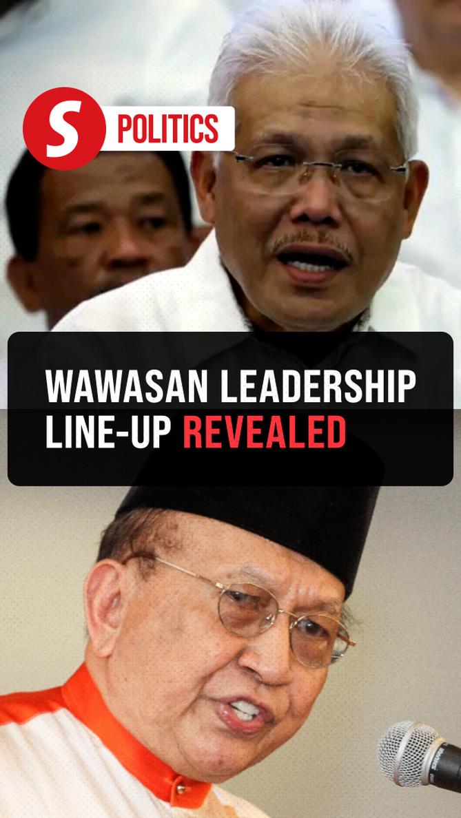 wawasan-names-hamzah-president-rais-yatim-chairman