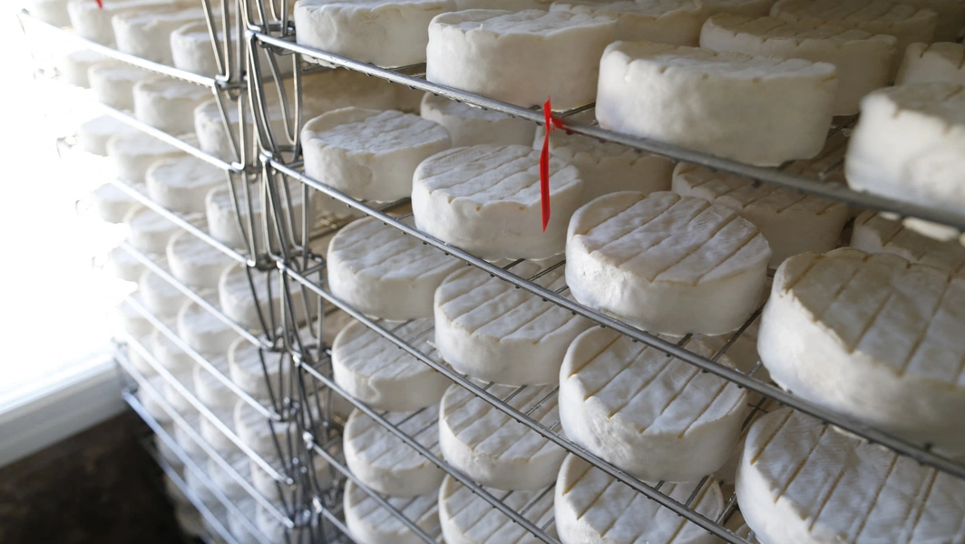Types and functions of cheese rinds