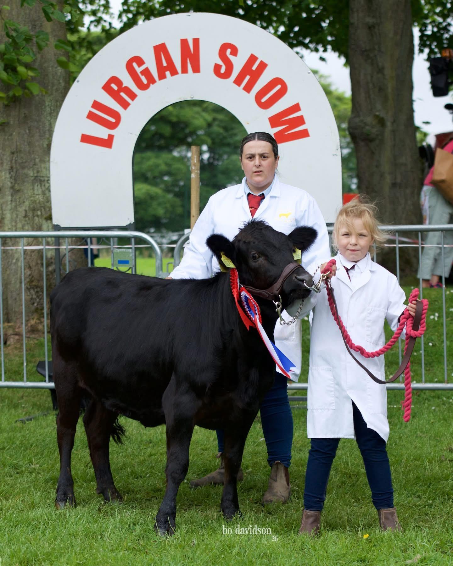 Lester’s Bonnie shines out at Lurgan Show