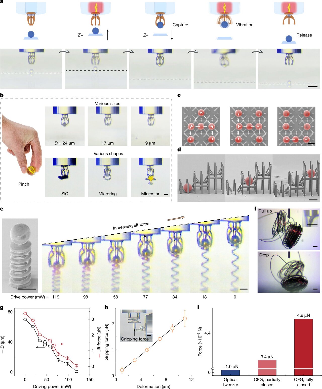 Light-controlled microgripper bridges the gap between precision and force