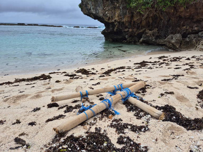 Abandoned tuna fishing gear smashes corals, harms wildlife in marine ...