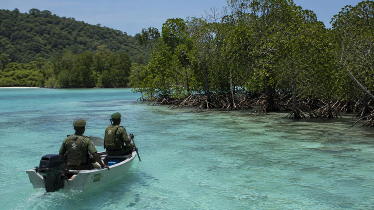 Madagascar’s northern coast shows the power of locally led marine ...
