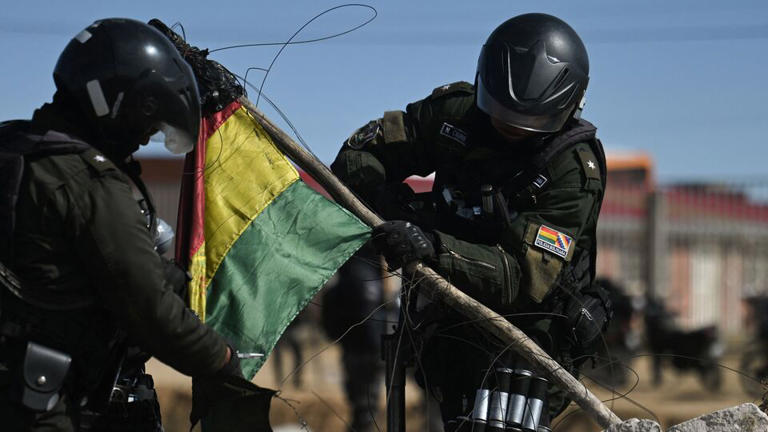 Why Bolivia declared state of emergency amid protests? US Defence Chief ...