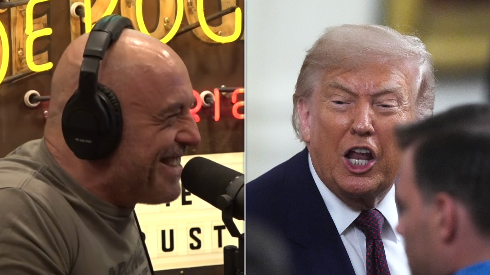 Joe Rogan loses it over Trump’s response to possible terrorist attack ...