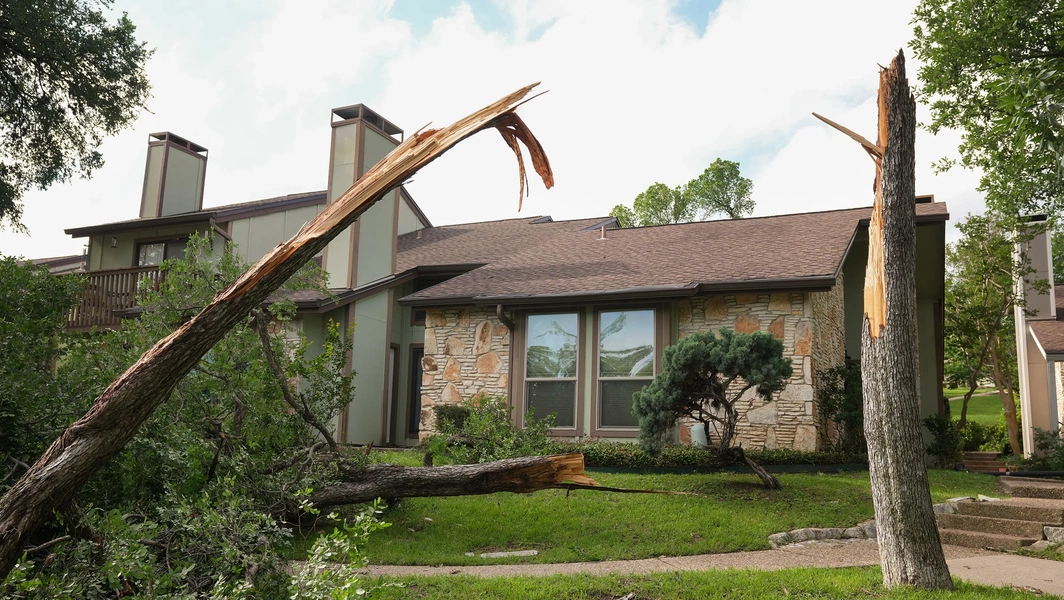 Risks and hazards of dead trees and shrubs