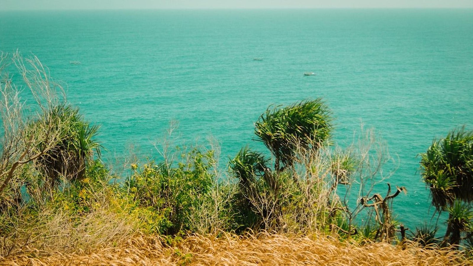 The relationship between ocean currents and global climate stability