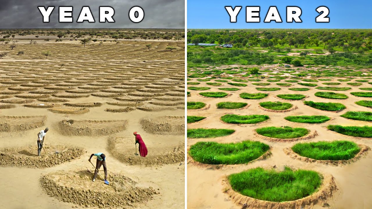Discover how the UN is reclaiming the Sahara
