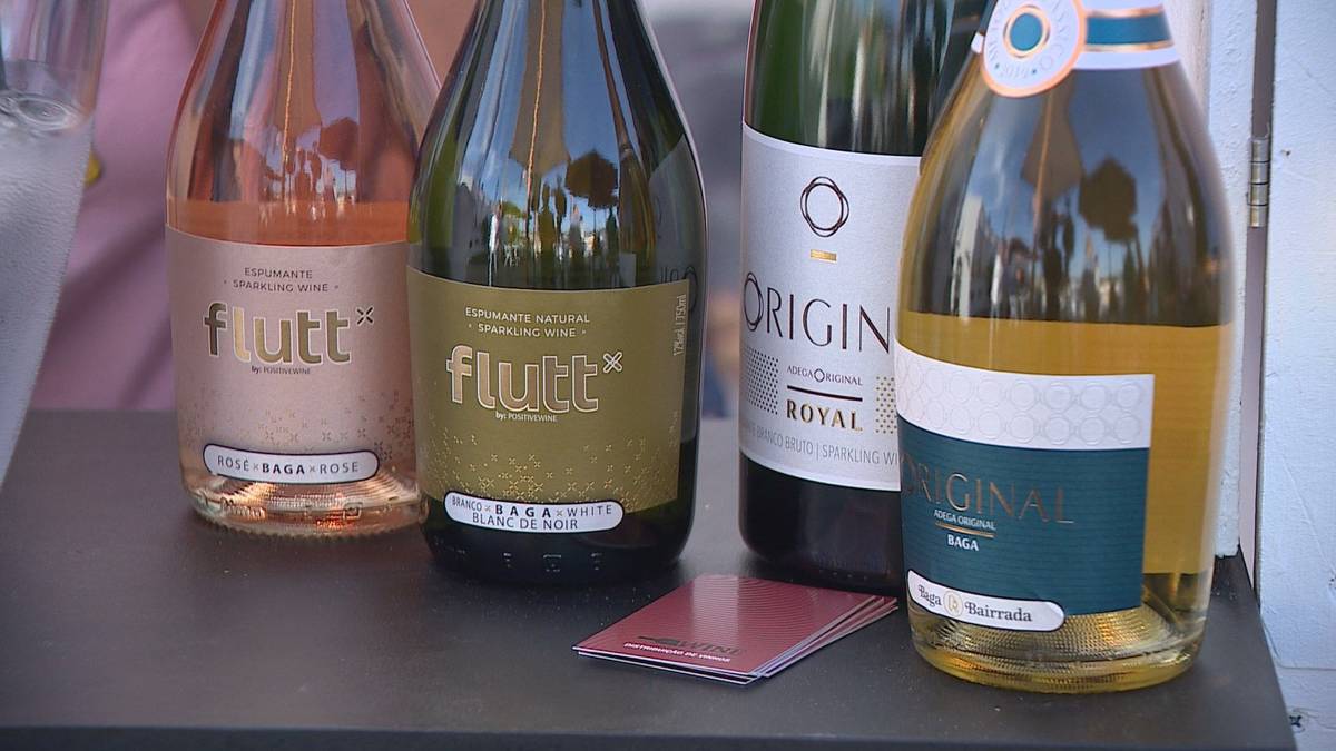 Vindimas podem arrancar mais cedo na Bairrada, mas produtores mantêm confiança na colheita