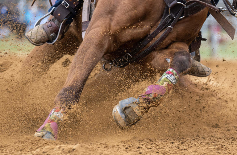 Texas A&M freshman shines with CNFR barrel racing championship