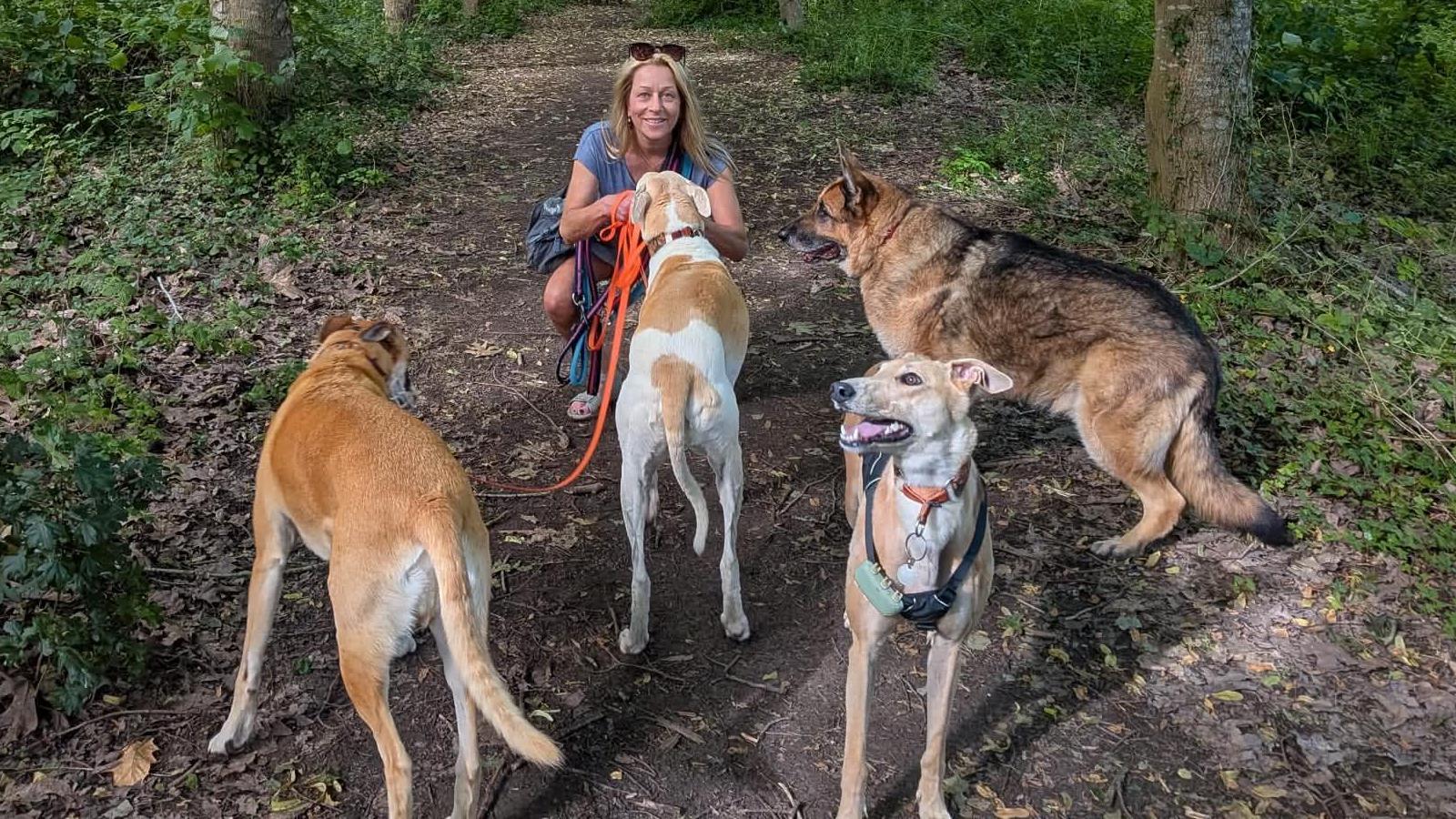 Climb-down on divisive changes to dogs on leads