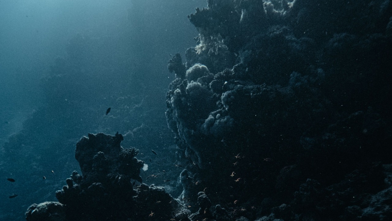 The deepest ocean trenches stay near freezing and darker than any night