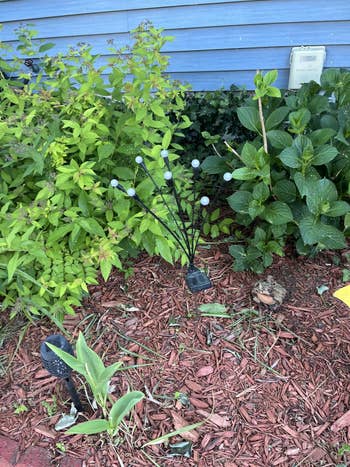 Garden with various plants, mulch, and a decorative metal sculpture featuring branches with round ornaments