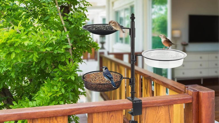 Forget traditional birdbaths: This deck-mounted alternative doubles as ...