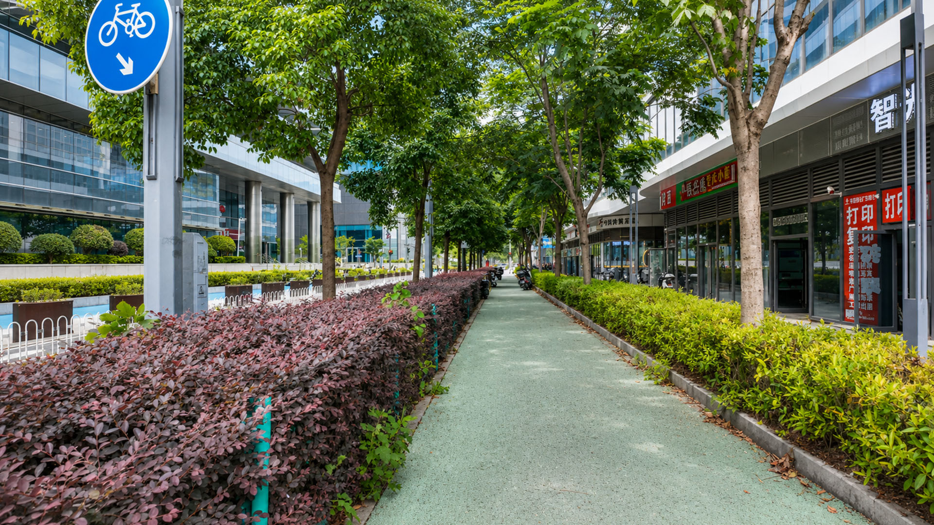 This empty cycle path hides a surprisingly calm city rhythm