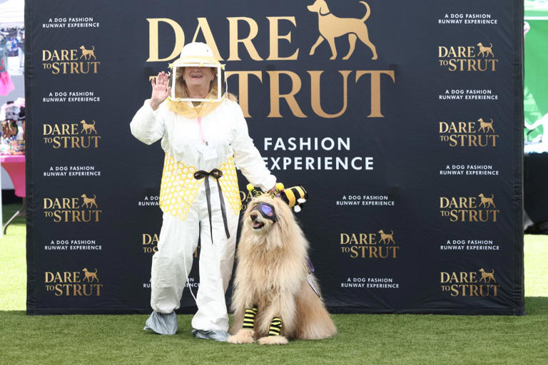 Adorable doggy fashion show 'Dare to Strut' takes Los Angeles by storm