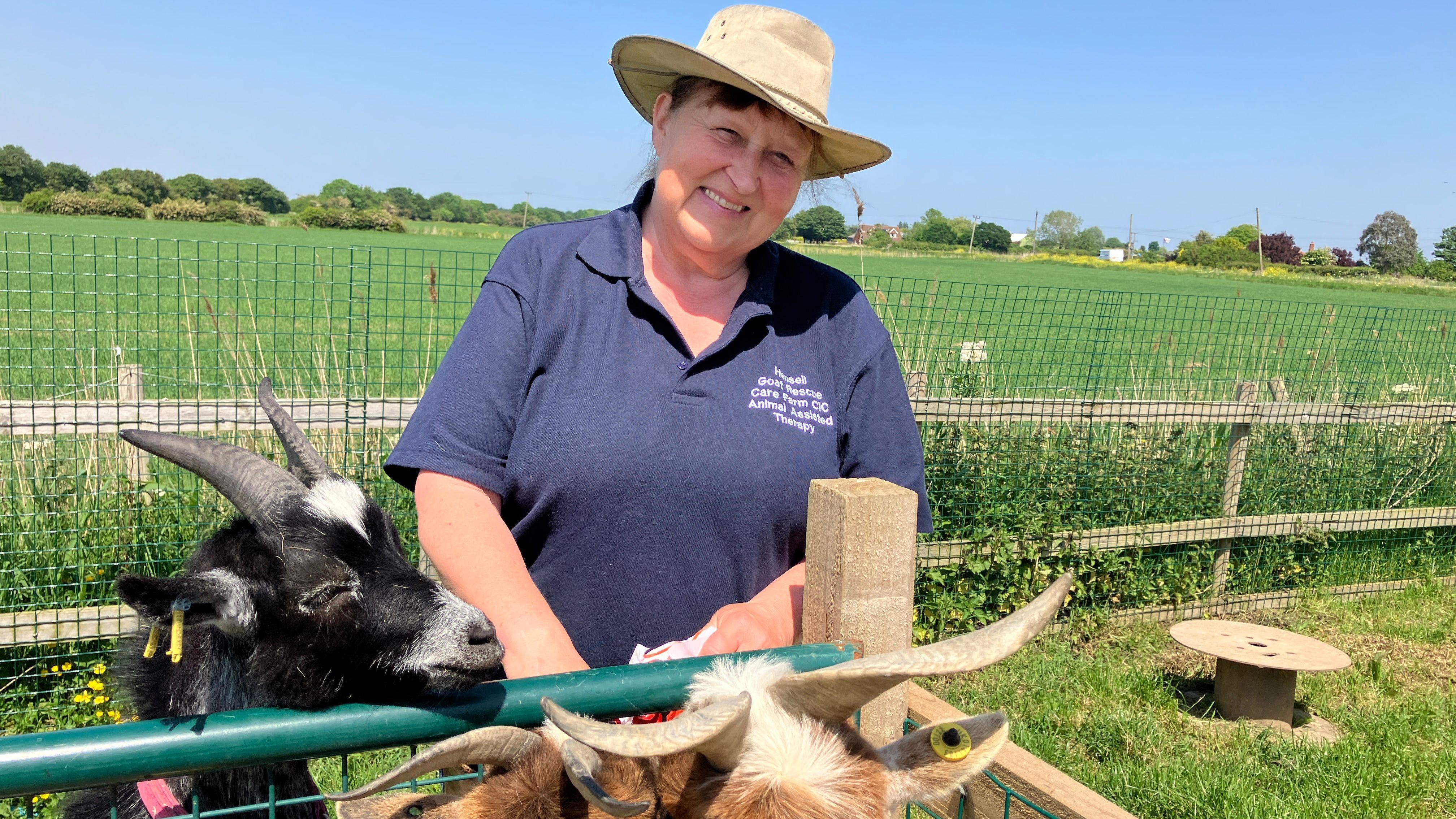'Naughty' therapy goats get custom new trailer