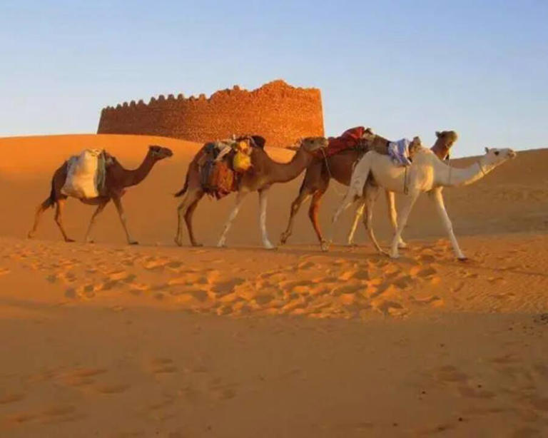 The mysterious history of Ksar Draa, the citadel in the middle of the ...