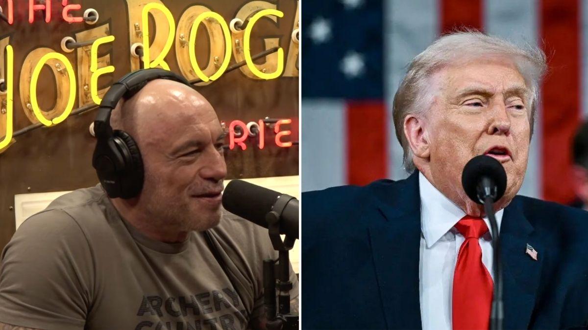 Joe Rogan recalls having terrorist attack fears at Donald Trump's White ...