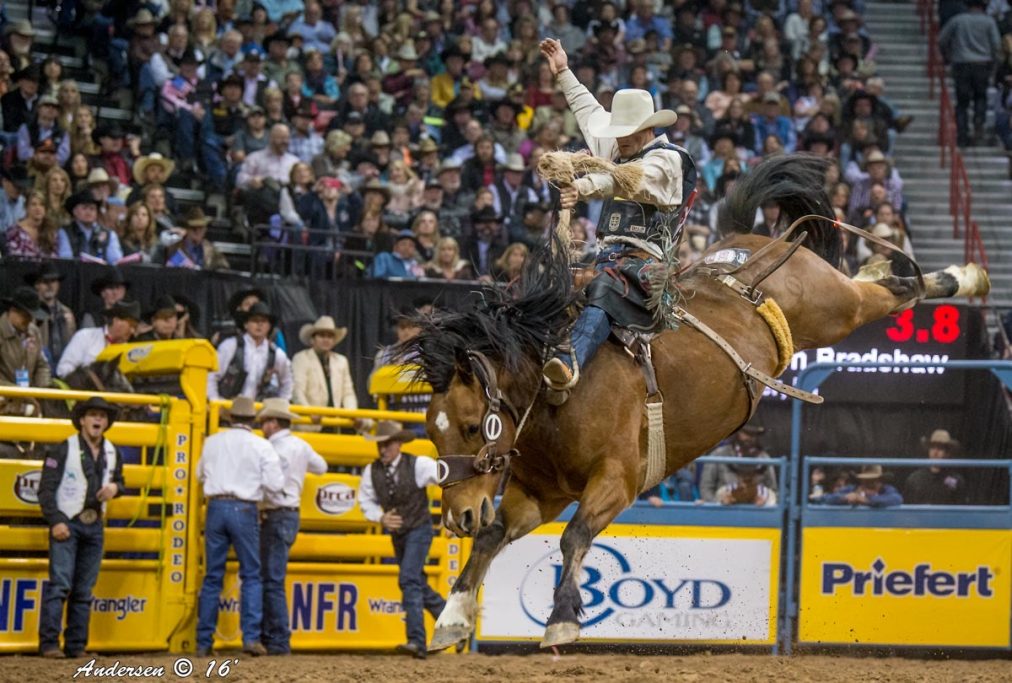 Washington prepares for America 250 rodeo takeover on National Mall ...